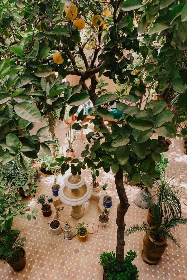 Riad Maison 24 마라케시 외부 사진