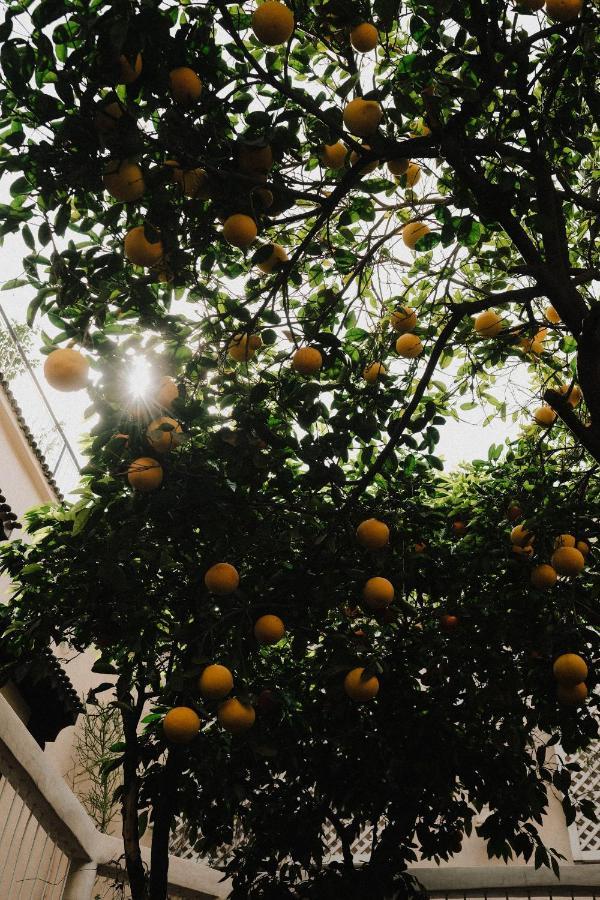 Riad Maison 24 마라케시 외부 사진