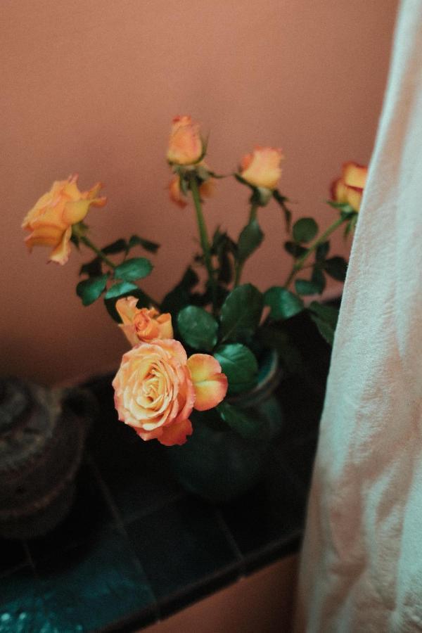 Riad Maison 24 마라케시 외부 사진